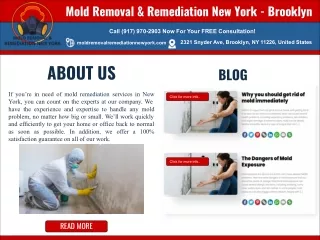 Mold Removal & Remediation New York- Brooklyn