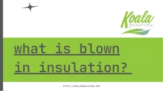 what is blown in insulation