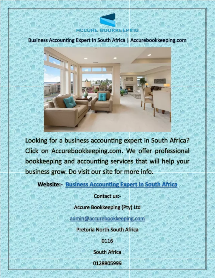 business accounting expert in south africa