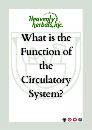 What is the function of the Circulatory System?