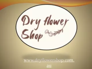 Buy Beautiful Dried Flower Arrangements in Australia