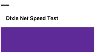 Dixie Net Speed Test