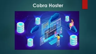 Cobra hoster – The Fastest Web Hosting for WordPress