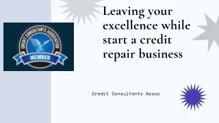 Leaving your excellence while start a credit repair business