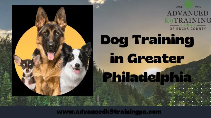 dog training in greater philadelphia