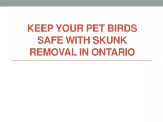 Keep your pet birds safe with Skunk Removal In Ontario