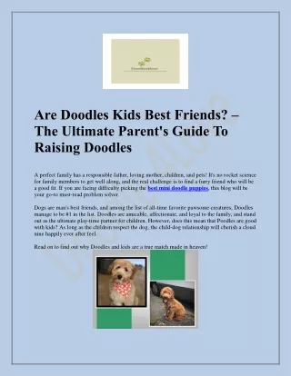 Buy Best Mini Doodle Puppies - Shop Now