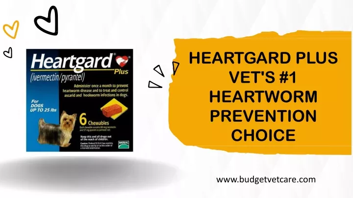 heartgard plus vet s 1 heartworm prevention choice