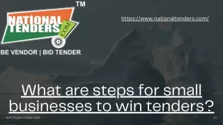What are steps for small businesses to win tenders?