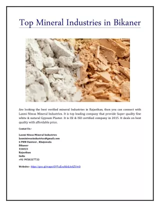 Top Mineral Industries in Bikaner