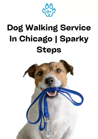 Dog Walking Service In Chicago  Sparky Steps