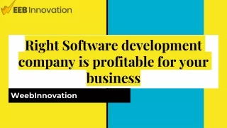 Right Software development company is profitable for your business