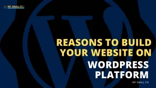 Reasons to Build Your Website on WordPress Platform