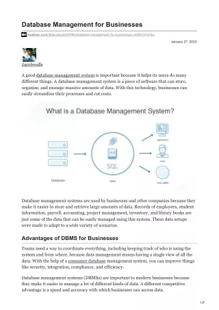 database management for businesses
