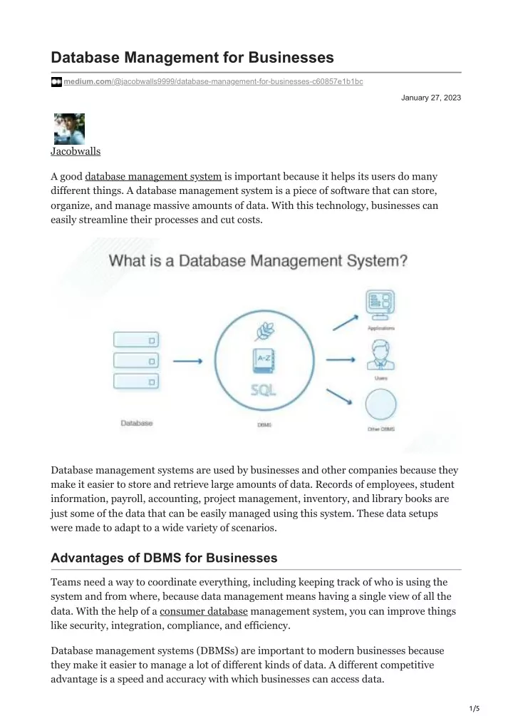 database management for businesses