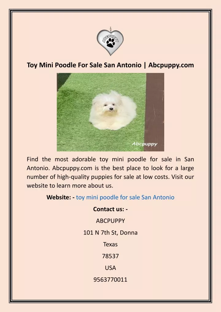 toy mini poodle for sale san antonio abcpuppy com