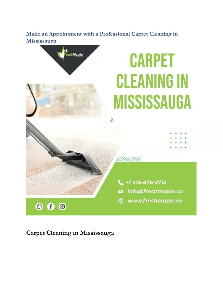make an appointment with a professional carpet