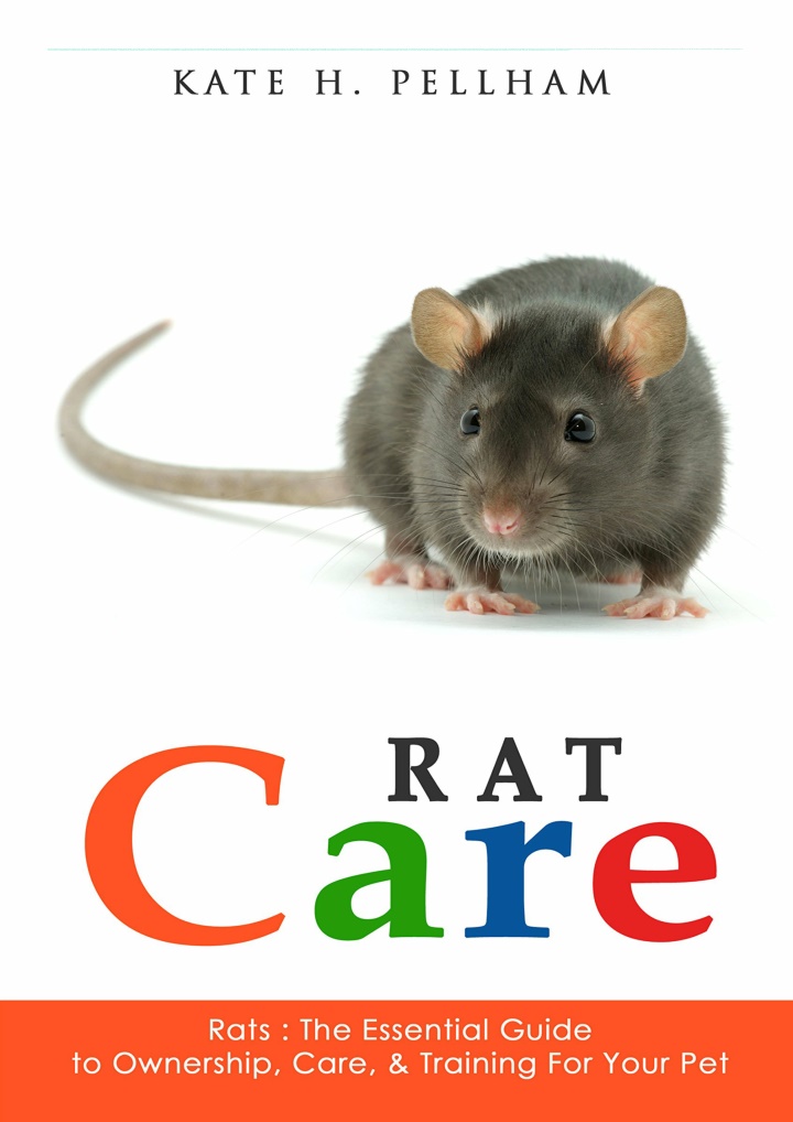 rats the essential guide to ownership care