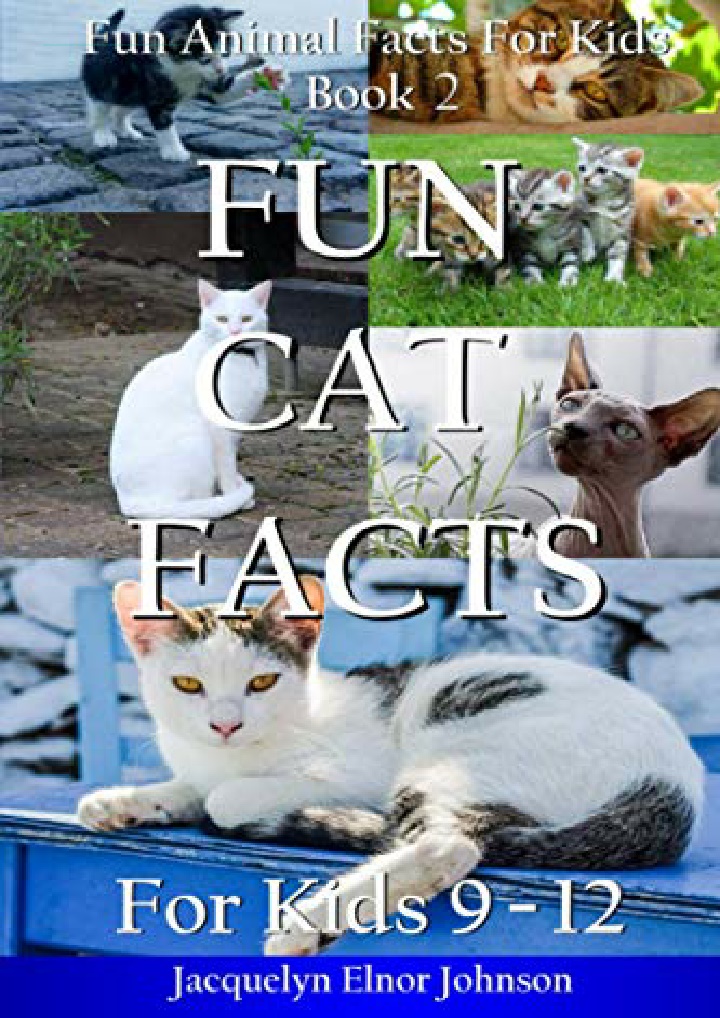 fun cat facts for kids 9 12 fun animal facts