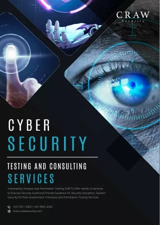cyber cyber
