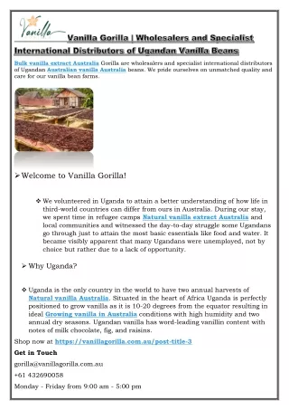 bulk vanilla extract australia gorilla