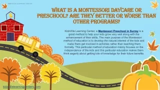 What is a Montessori daycare or preschool
