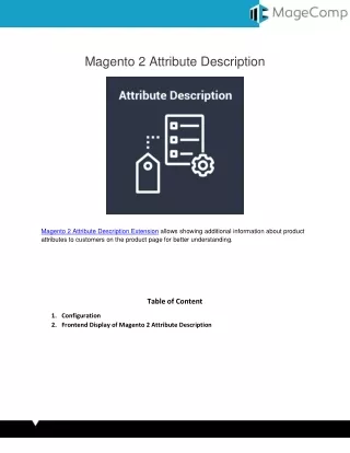 Magento 2 Attribute Description Extension