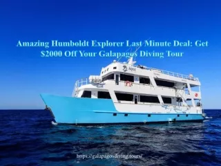Amazing Humboldt Explorer Last Minute Deal Get $2000 off your Galapagos diving tour
