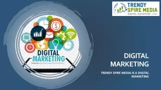 Digital Marketing Agency