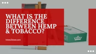 What is the difference between Hemp & Tobacco?