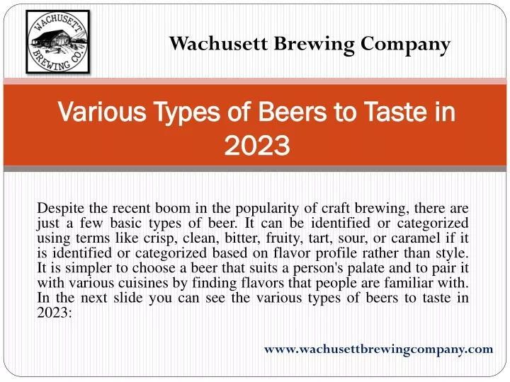 various types of beers to taste in 2023