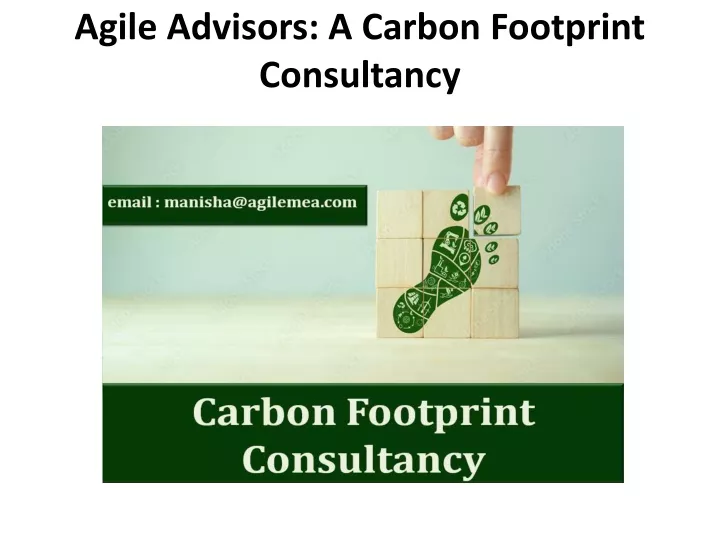agile advisors a carbon footprint consultancy