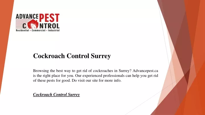 cockroach control surrey