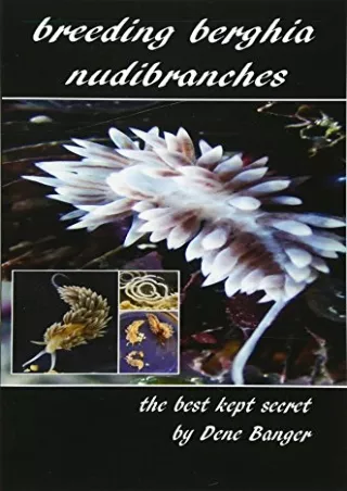 _PDF_ Breeding Berghia Nudibranches the best kept secret