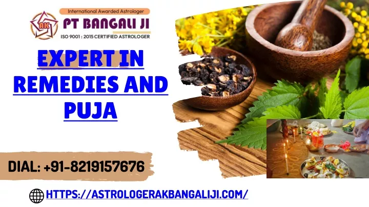 expert in remedies and puja