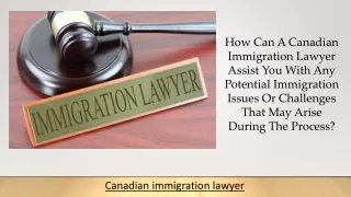 How Can A Canadian Immigration Lawyer Assist You With Any Potential Immigration Issues Or Challenges That May Arise Duri