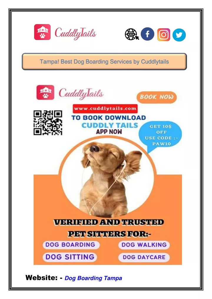 tampa best dog boarding services by cuddlytails