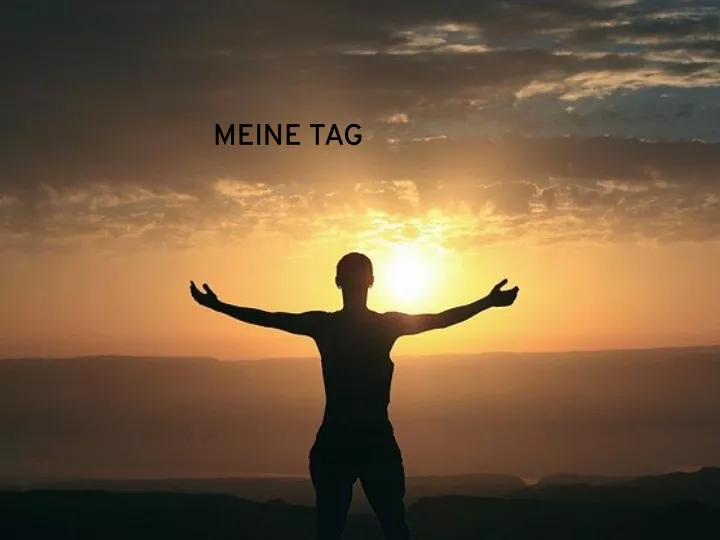 meine tag