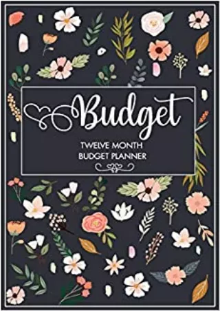 Budget Twelve Month Budget Planner Undated Simple and Easy Daily Weekly Monthly Expense