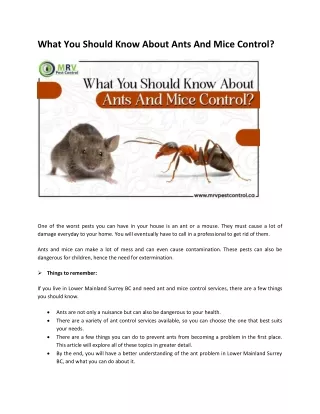 What You Should Know About Ants And Mice Control
