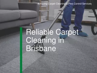 Reliable Carpet Cleaning in Brisbane