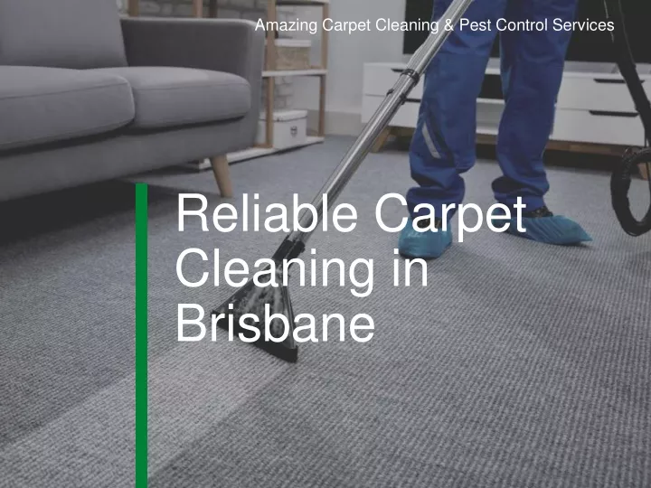 amazing carpet cleaning pest control services