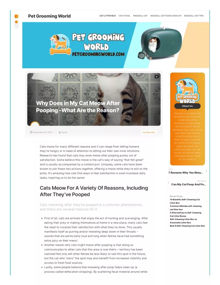 pet grooming world