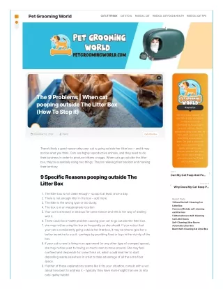 cat-pooping-outside-the-litter-box-