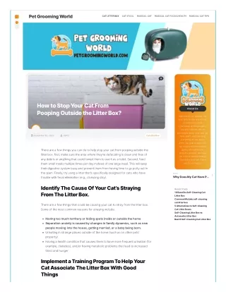 stop-your-cat-from-pooping-outside-the-litter-box-