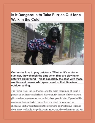 Is It Dangerous to Take Furries Out for a Walk in the Cold