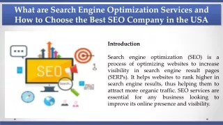 What are Search Engine Optimization Services and How to Choose the Best SEO Company in the USA