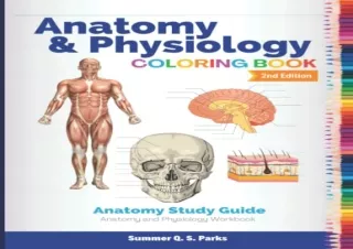 (PDF BOOK) Anatomy and Physiology Coloring Book: Anatomy Study Guide. Anatomy an