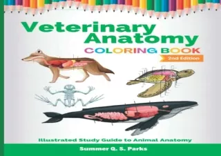 PDF Veterinary Anatomy Coloring Book: Animal Anatomy and Veterinary Physiology C