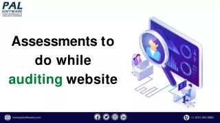 assessments to do while auditing website